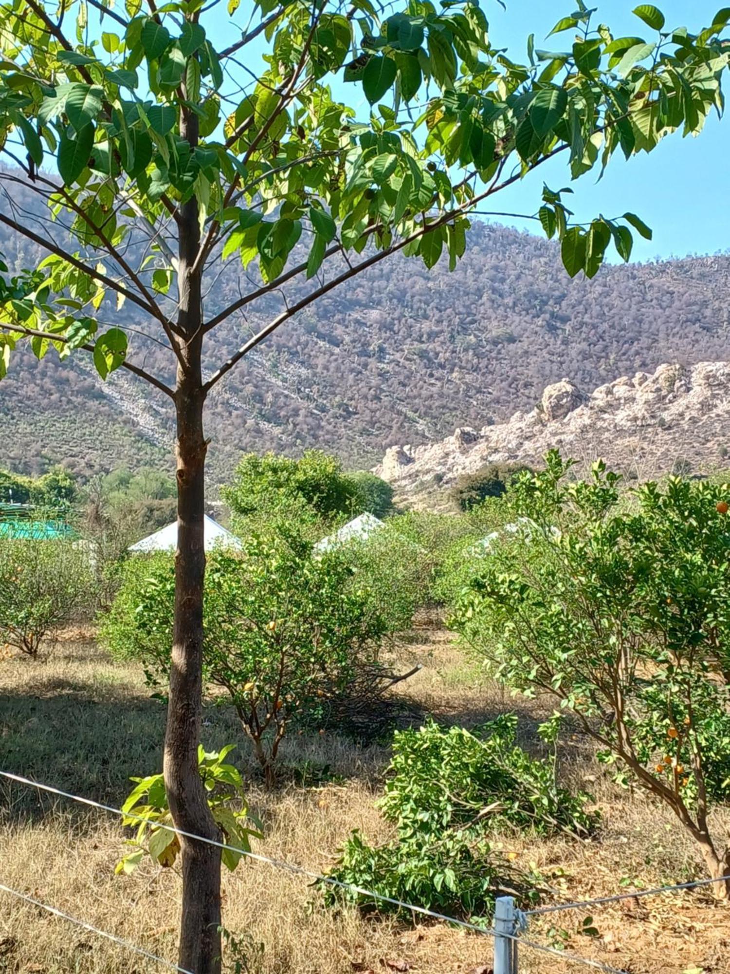 Shivir Aranya - Wilderness Resort الوار المظهر الخارجي الصورة